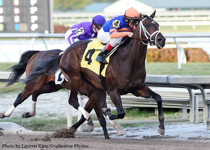 Noble Indy Daily Racing Form